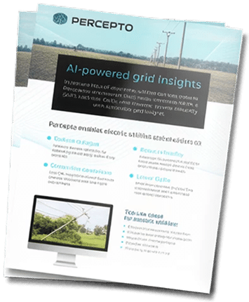 Percepto AI-powered Dx solution