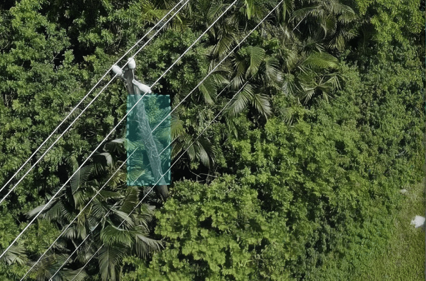Grid asset monitoring